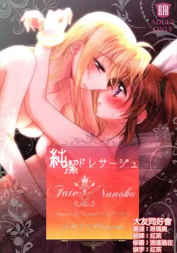 (C93) [Ameiro (Nanashiki)] Junketsu Dressage (Mahou Shoujo Lyrical Nanoha) [Chinese] [大友同好会]