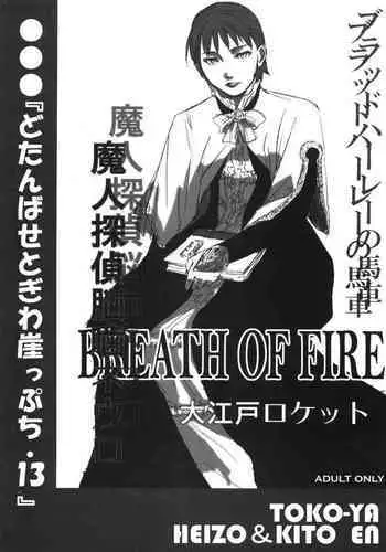 (C73) [Toko-ya (HEIZO, Kitoen)] Dotanba Setogiwa Gakeppuchi 13 (Breath of Fire, Majin Tantei Nougami Neuro)