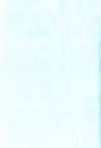 [Nippori] Daisy Blue