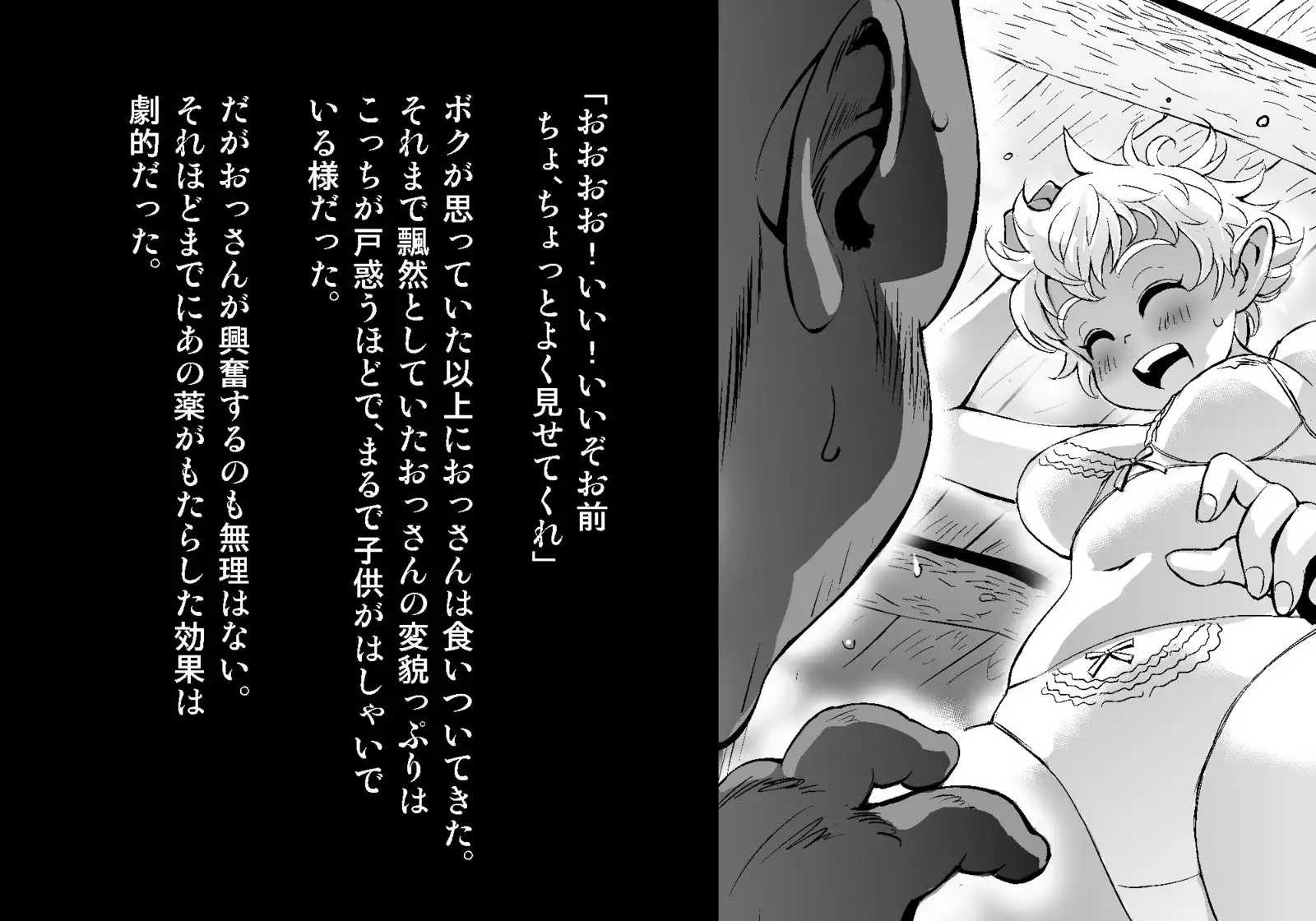 フェアリーセティ