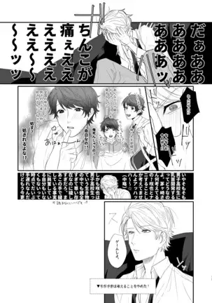 ちぇりーぶろっさむMANKAI計画！