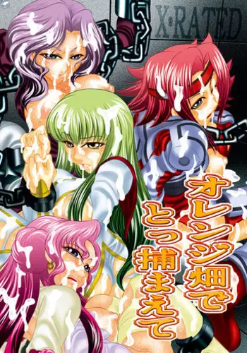 [Yuugai Tosho Kikaku (Satochizu, Tanaka Naburu)] Orange Batake de Tottsukamaete (Code Geass) [Digital]