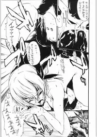 (C64) [nylon 100% (Nylon)] Private Beach! (Dead or Alive)