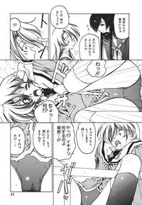 [Benjamin] Stray Sheep