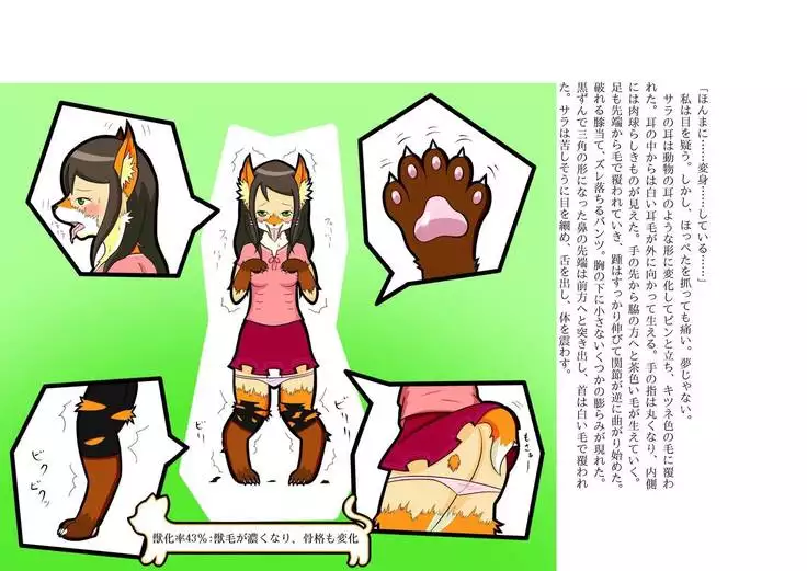 Kemo tan 1＠J-Chimera