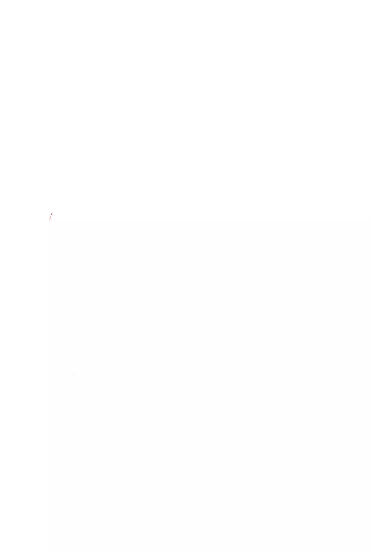 NICO & MAKI COLLECTION FINAL