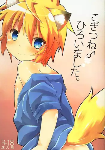 (C88) [Rideshion (Kazushi)] Kogitsune Hiroimashita.