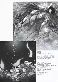 [Burning -Soul] Touhou hon 2 (Touhou)