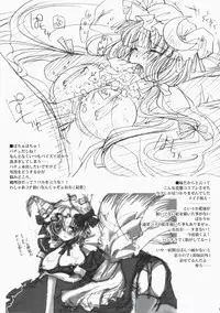 [Burning -Soul] Touhou hon 2 (Touhou)