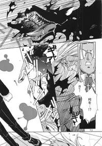 Kopigura ( Hellsing )