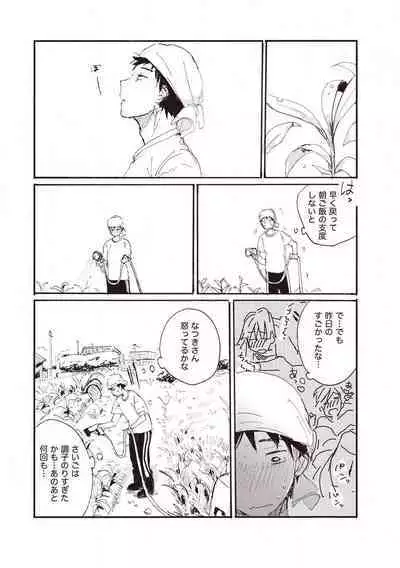 Hatomugi Batake de Tsukamaete - The Catcher in the Hato