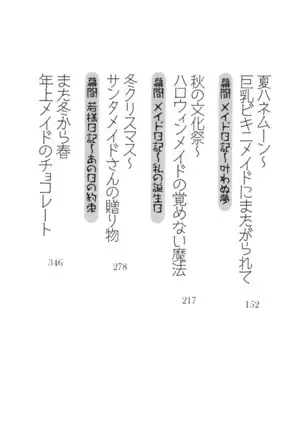 年上メイドの新婚日記