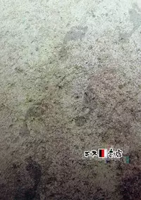 (SC2017 Winter) [S Shoten (3e)] Hadashi no ashioto (THE IDOLM@STER)