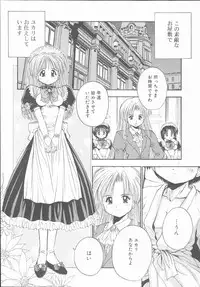 [Kamogawa Tanuki] ELEMENTS