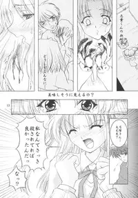 (CR33) [Studio Black Cats (Tsumori (AZR) Minato)] Black Cats dai 27 go Satsuki Ju-ya (Tsukihime)