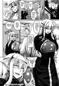 [Kazuhiro] Aijou no Injoku Elf |Chinese] [贝尔西行寺个人汉化]