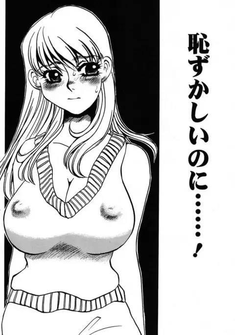 Ijou Seiyoku Mesuinu Toshite