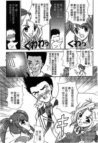 The Flower In Paris 2