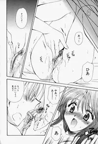 [Sakura Mitono] Higawari Lunch