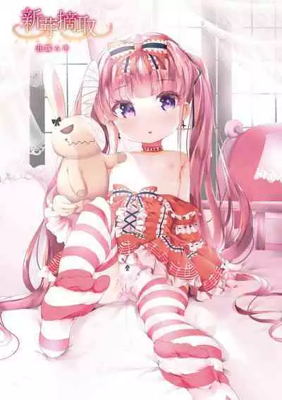 Shinme Tori - symmetry