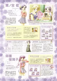 Canvas Visual Fan Book