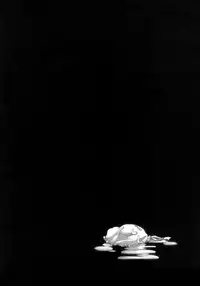 [Hatoya Mameshichi] Maid100%