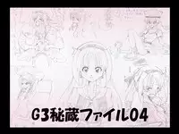 G3 Hizou File 04