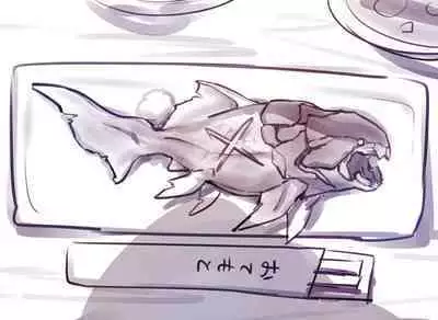 Nyotaika/TSF Summary!