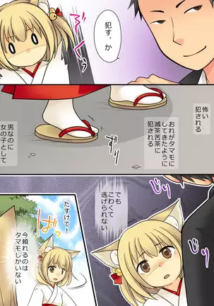 Your ability is the ability to fade humans into female foxes.