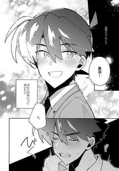 Koutekisha Bousousuru