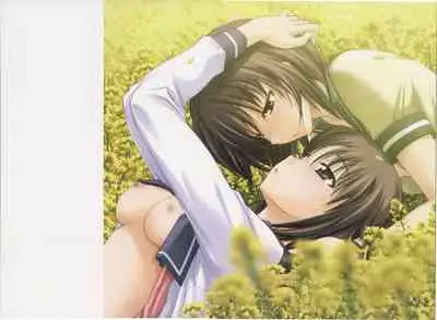 Shin Ringetsu Visual Fanbook