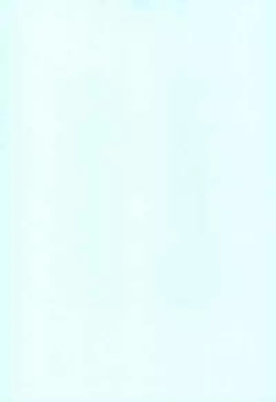 JYOJIZM AFTER SUMMER & AUTUMN