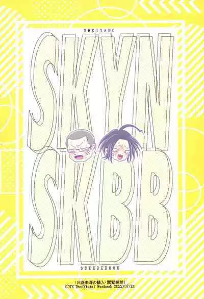 SKYNSKBB