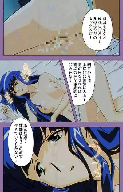 Shimai-ijiri kanzenhan