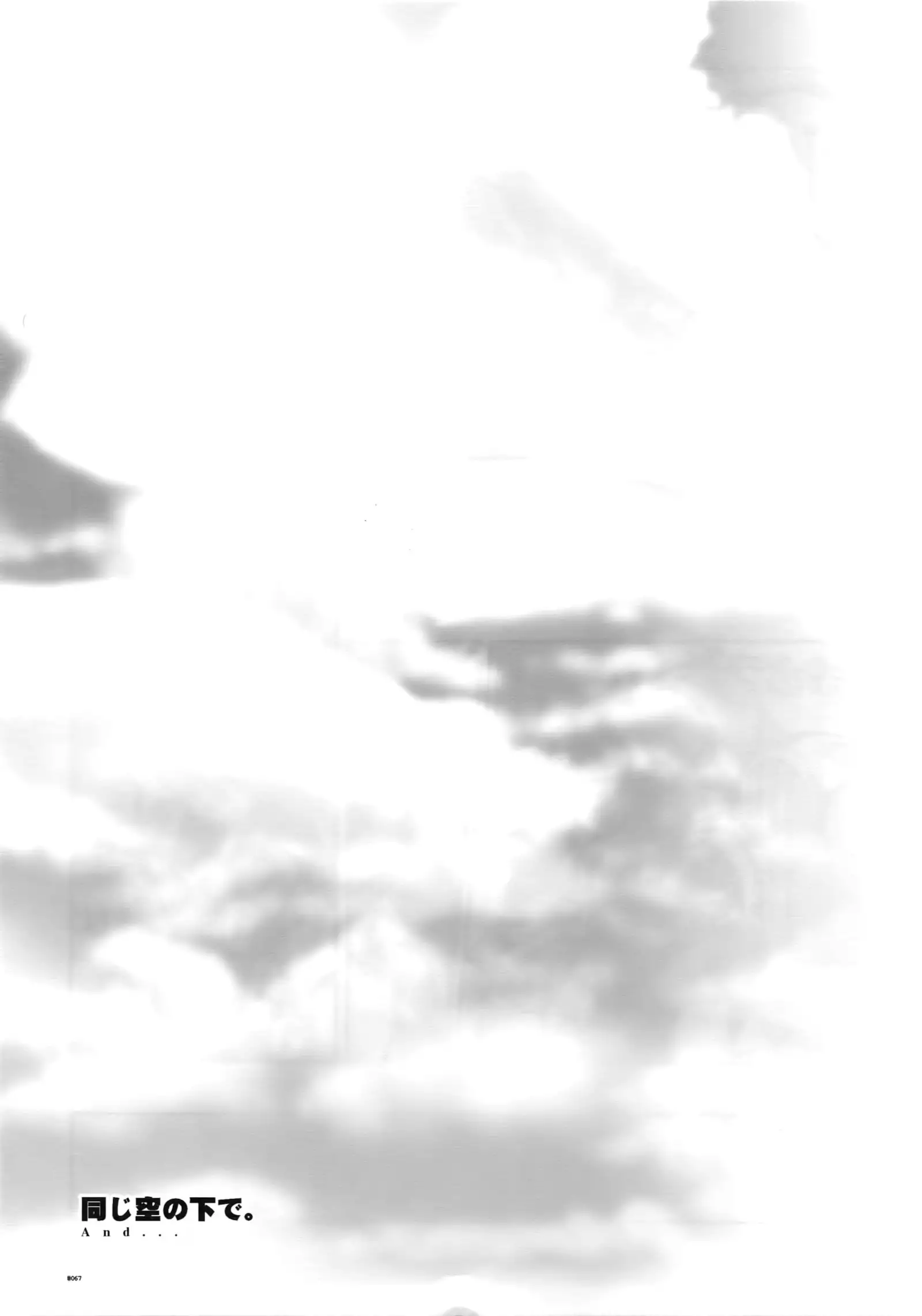 Anthurium.EA01 Shinsouban