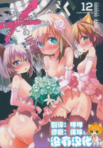 (C87) [Roubai-tei (atahuta)] Issyou Watashi tachi no Omocha ni natte kudasai (Strike Witches) [Chinese] [沒有漢化]