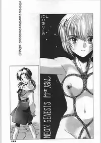 (C49) [UROBOROS (Various)] Shin Seiki Evangelibon (Neon Genesis Evangelion)