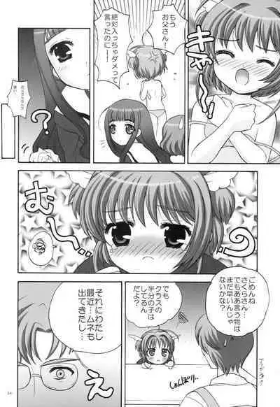 Punipoyon summary version