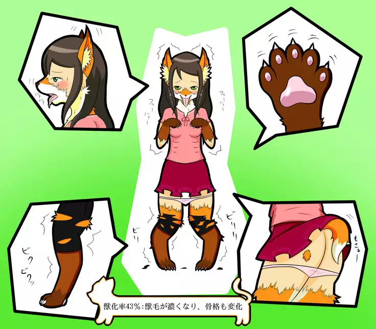 Kemo tan 1＠J-Chimera