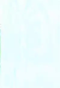 [Nippori] Daisy Blue