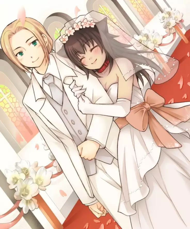 Okashi Assorted Packs - Unscented Taste