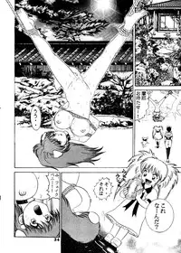 (C52) [Raijinkai (Haruki Genia)] Jintoku No Kenkyuu 5