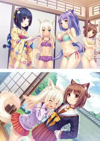NEKOPARA ART WORKS Extra