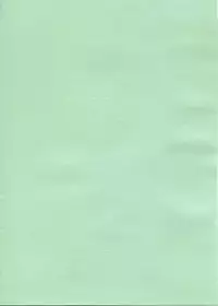 (C64) [Hellabunna (Iruma Kamiri)] INU/incident (Dead or Alive)