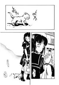 [Yoshida Furawa] Flower Complex