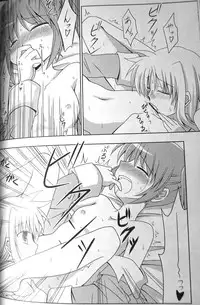 (C77) [Sagamani. (Sagami Inumaru)] Yogaakeru made (Mahou Shoujo Lyrical Nanoha)