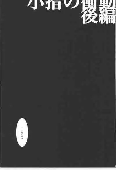 Wandering In The World 3