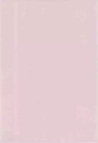 Shaoran-kun to Issho.