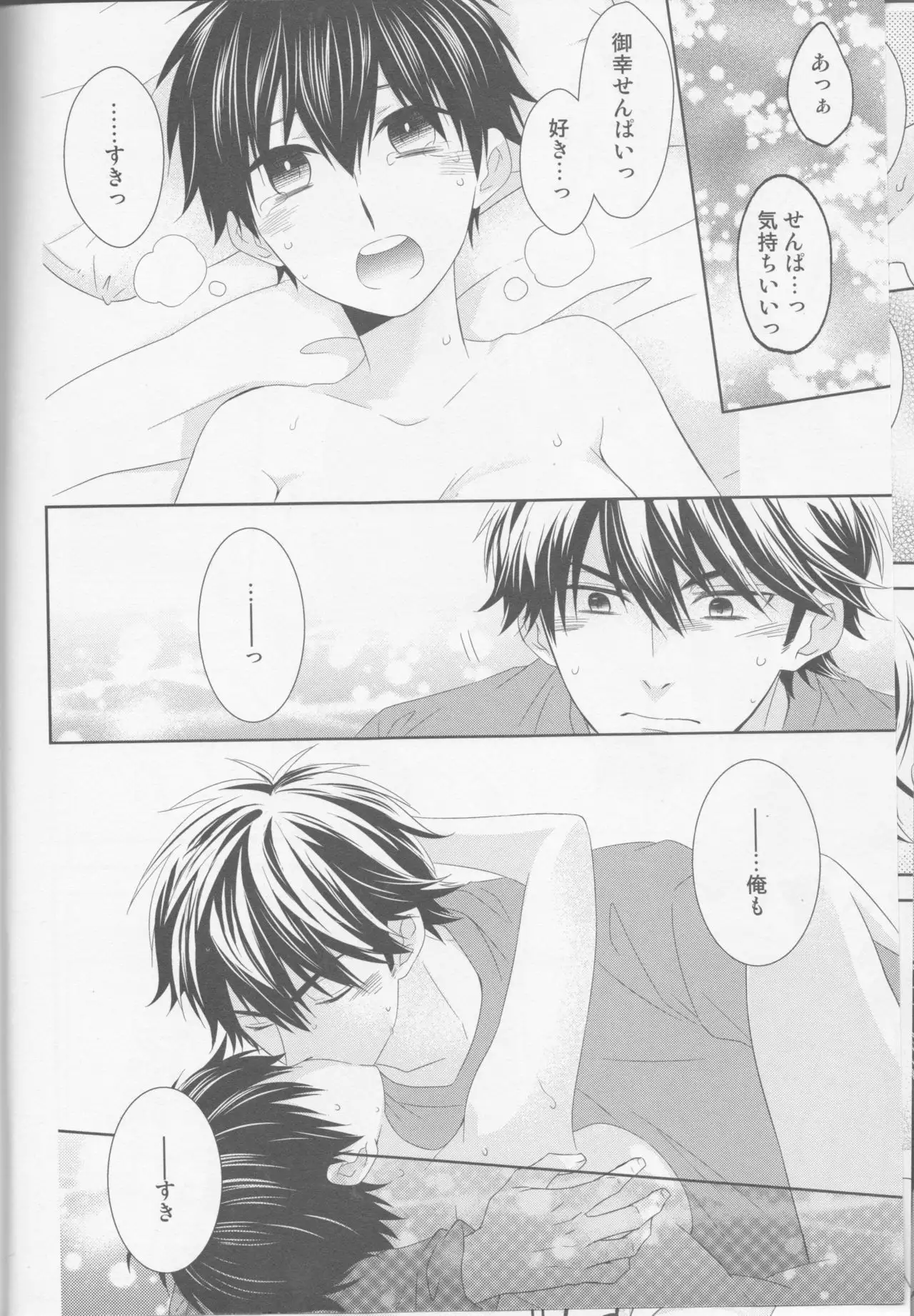 Shitsuren Metamorphose