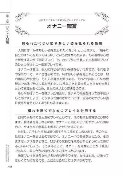 いますぐデキる 図説SMプレイマニュアル